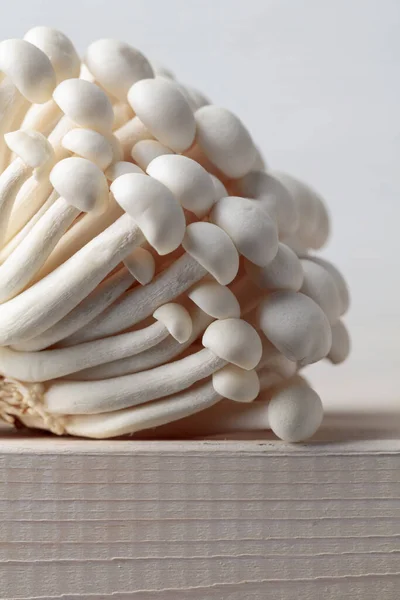在白色的木桌上摆满了Shimeji蘑菇 日本菜 — 图库照片