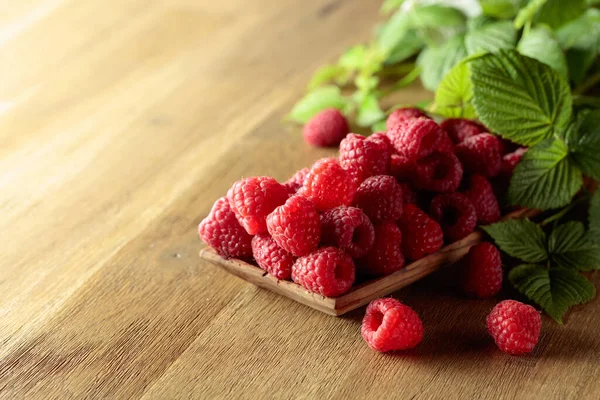 Ripe Juicy Raspberries Leaves Berries Wooden Dish Old Wooden Table — Photo