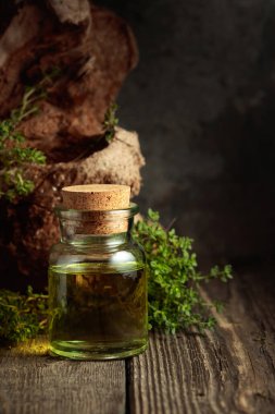 Bottle of thyme essential oil with fresh thyme twigs on an old wooden table.