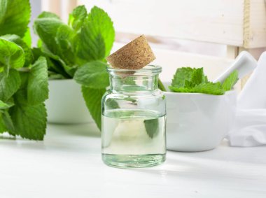 Taze nane yaprakları ve içinde nane yağı bulunan küçük bir şişe. Aromaterapi, spa ve bitkisel ilaç malzemeleri..