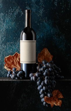 Kırmızı şarap ve eski koyu mavi arka planda kurumuş asma yapraklı mavi üzümler. Boşluğu kopyala.