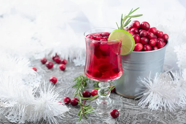 Hot Minuman Musim Dingin Dengan Cranberry Kapur Dan Rosemary — Stok Foto