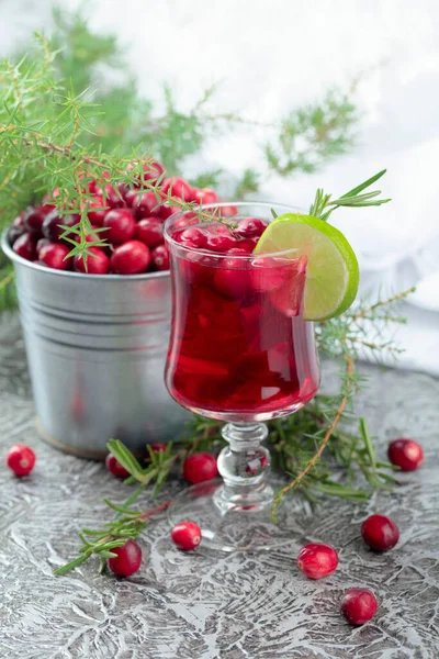 Hot Minuman Musim Dingin Dengan Cranberry Kapur Dan Rosemary — Stok Foto