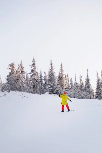 Mulher Snowboard Encosta Uma Montanha Nevada Resort Natural Equipamento Esqui — Fotografia de Stock