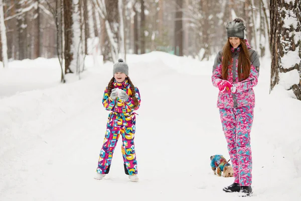母と娘は冬の雪の公園に雪玉を投げます 選択的焦点 ぼやけた背景 — ストック写真