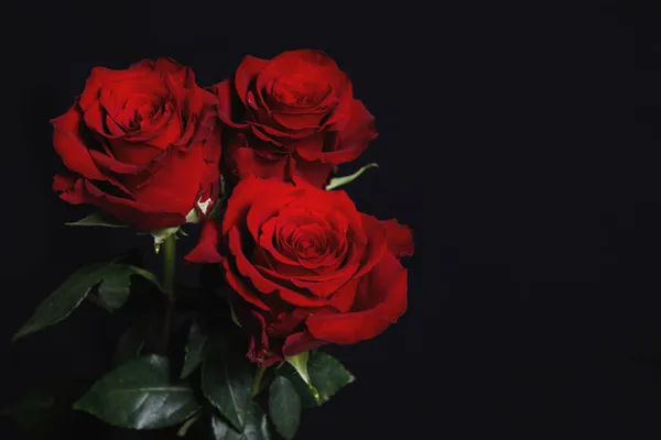 Três Rosas Vermelhas Num Fundo Preto Banner Para Web Design — Fotografia de Stock