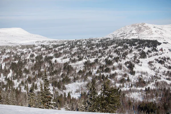 Přírodní Krajina Bílé Zasněžené Hory Jehličnatým Lesem Modré Nebe Krásné — Stock fotografie