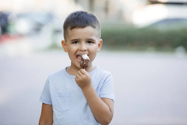 Мальчик Ест Мороженое Летнем Парке Выборочный Фокус Размытый Фон Счастливого Стоковое Изображение