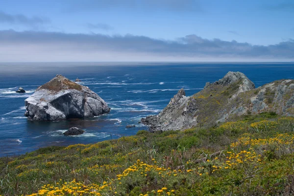 Costa del norte de California —  Fotos de Stock