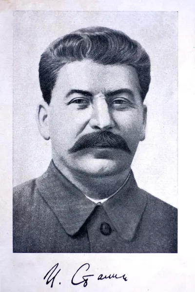 József Sztálin-portré Jogdíjmentes Stock Képek
