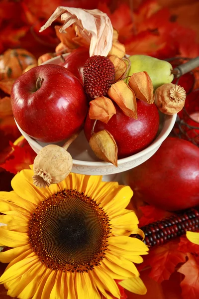 Autumn table Stock Photo