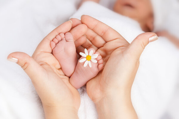 Beau pied d'enfant avec petite marguerite blanche — Photo