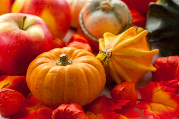 Kürbisse für Halloween — Stockfoto