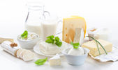 Sortiment mléčných výrobků