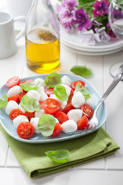 Salada de tomate com mussarela e manjericão — Fotografia de Stock