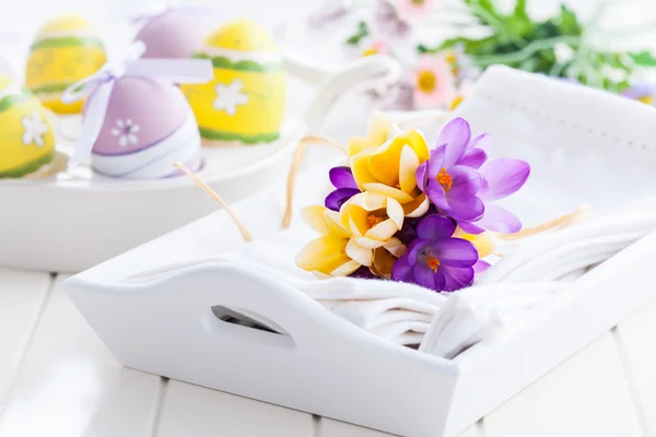 Tavaszi virágok és húsvéti tojás — Stock Fotó