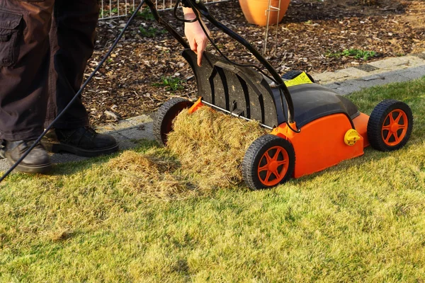 Gartenarbeit — Stockfoto