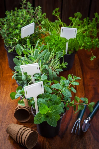 Örter för plantering — Stockfoto