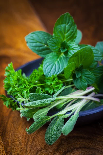 Fresh herbs from garden — Stock Photo, Image