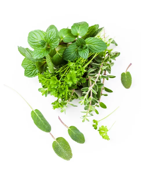 Fresh herbs from garden — Stock Photo, Image