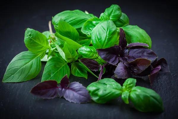 Basil — Stock Photo, Image