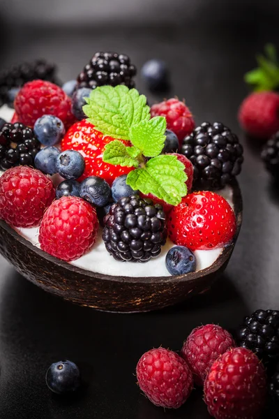 Sorbet voor Kerstmis met bos fruit — Stockfoto