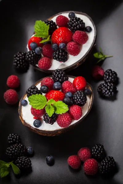 Sorbet voor Kerstmis met bos fruit — Stockfoto