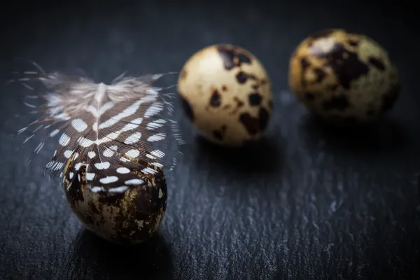 Easter still life with quail eggs — Stock Photo, Image