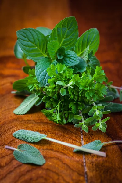 Fresh herbs from garden — Stock Photo, Image