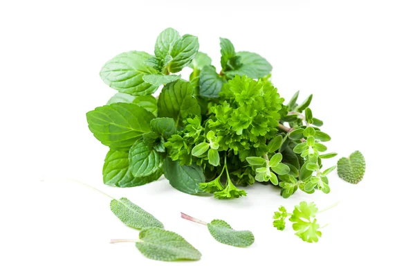 Fresh herbs from garden — Stock Photo, Image