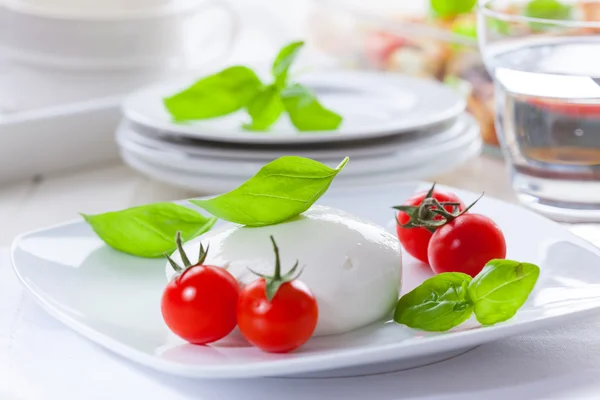 Mozzarella met tomaat en basilicum — Stockfoto