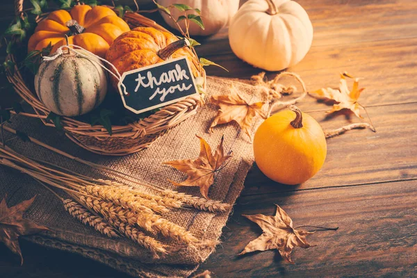 Thanksgiving Stilleben Med Pumpor Öron Och Höstlöv Träbakgrund — Stockfoto