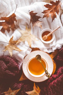 Ballı sıcak çay, sıcak süveterler ve sonbahar yaprakları. 