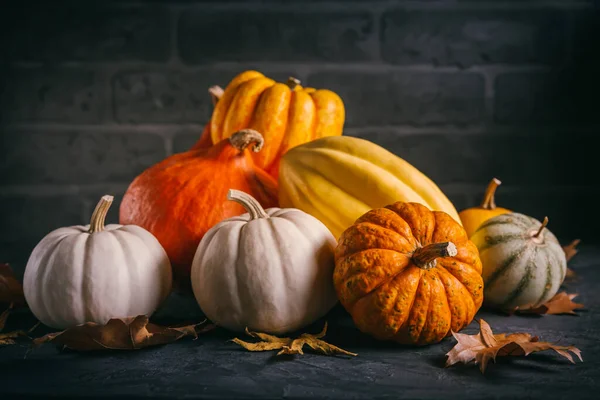 Pompoenen Voor Thanksgiving Zwarte Achtergrond Zwarte Achtergrond — Stockfoto