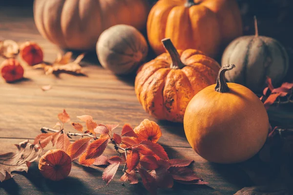 Pompoenen Voor Thanksgiving Houten Achtergrond — Stockfoto