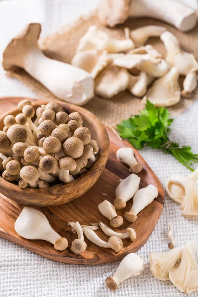 Assortment Edible Mushrooms Rich Umami Tasting White Background Beech Shimeji — Stock Photo, Image