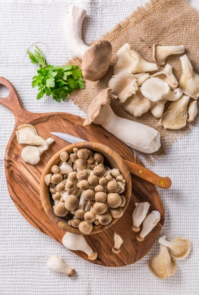 Surtido Setas Comestibles Ricas Sabor Umami Sobre Fondo Blanco Haya —  Fotos de Stock