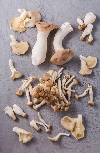 Assortiment Van Eetbare Champignons Rijk Aan Umami Proeven Grijze Achtergrond — Stockfoto