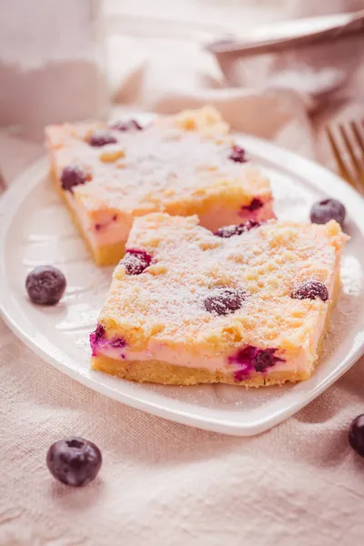 自家製層ブルーベリーと粉砂糖チーズケーキ — ストック写真