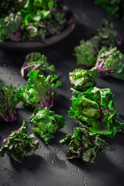 Kalette Germogli Cavolo Germogli Fiori Sfondo Nero Pianta Ibrida Incrocio — Foto Stock