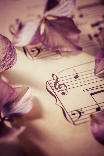 Partition Musicale Avec Fleurs Séchées Dans Style Vintage — Photo