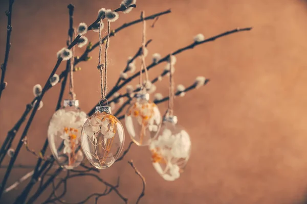 Holidays Easter Concept Close Pussy Willow Branches Decorated Easter Eggs — Zdjęcie stockowe