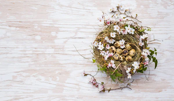 Nest Mit Ostereiern Und Blühenden Zweigen Auf Weißem Holzgrund Mit — Stockfoto