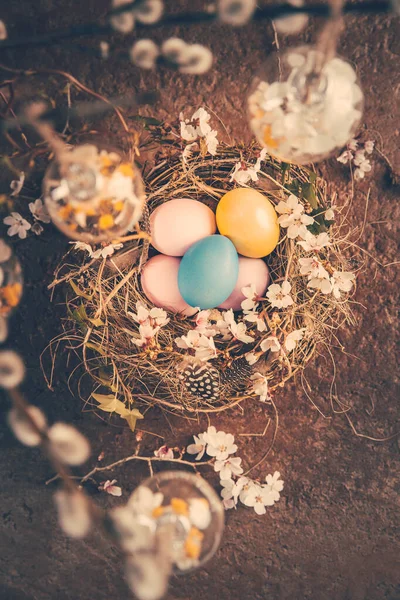 Nest Easter Eggs Blooming Branches Pussy Willow Branches Decorated Vintage — Stok fotoğraf