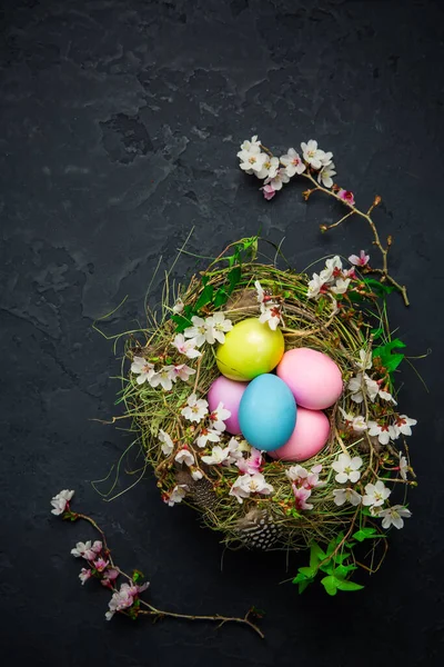 Paskalya Yumurtaları Siyah Zemin Üzerinde Çiçek Açan Dallarla Dolu Bir — Stok fotoğraf