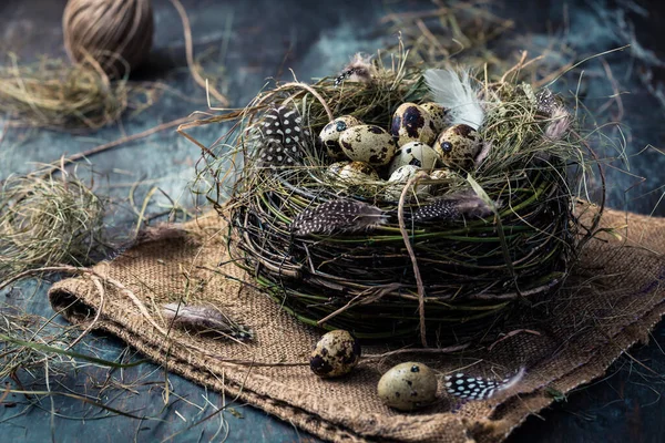 Nest Quail Eggs Easter Blooming Branches Black Background — Stock Photo, Image