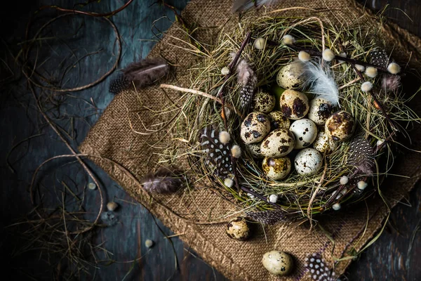 Nest Quail Eggs Easter Blooming Branches Black Background — Stock Photo, Image