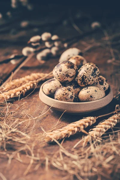 Quail Eggs Easter Blooming Pussy Willow Branches Wooden Background — 图库照片