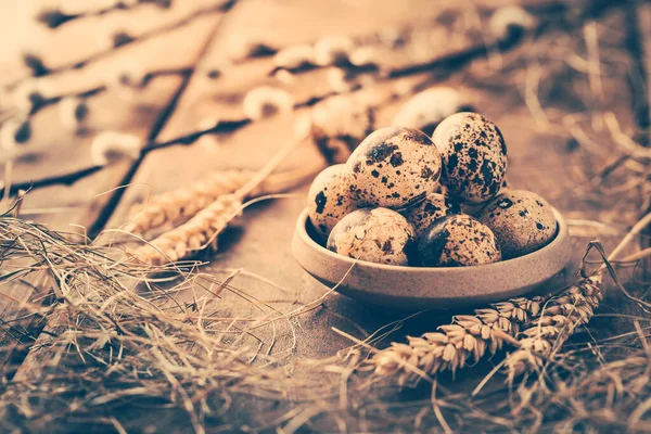 Quail Eggs Easter Blooming Pussy Willow Branches Wooden Background — Stok fotoğraf