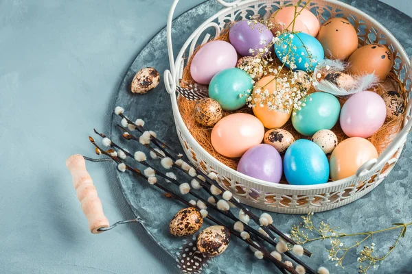 Easter Eggs Plate Pussy Willow Branch — Stockfoto